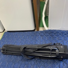 ☆Titleist  ゴルフスタンドバッグの画像