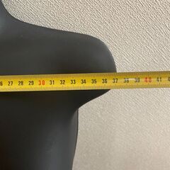 マネキン　ハンガー　2個組の画像