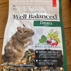 デグーの餌・砂セットの画像