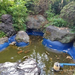 日本庭園の大きな造園庭石の画像