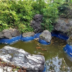 日本庭園の大きな造園庭石の画像