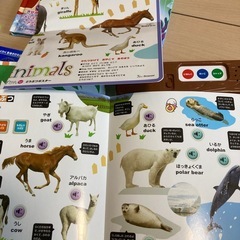 玩具3点セットの画像