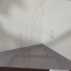 ベビーゲート(おくだけとおせんぼ)の画像