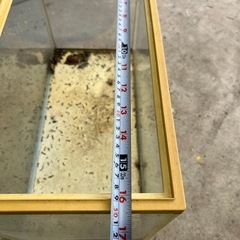 水槽49センチの画像