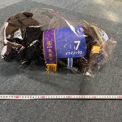 タイトーくじ　イクイノックス　の画像