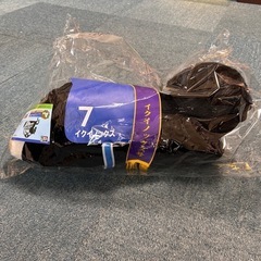 タイトーくじ　イクイノックス　の画像