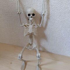 ガイコツの画像