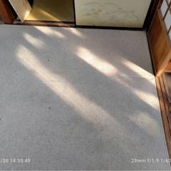 大きなじゅうたんの画像