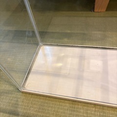 メダカ　GEX 観賞用　水槽　の画像