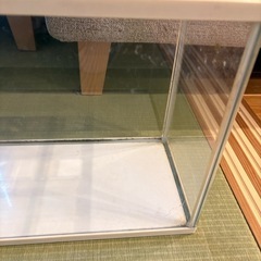 メダカ　GEX 観賞用　水槽　の画像