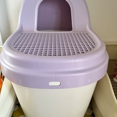猫トイレの画像