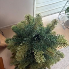 クリスマスツリー　シュヴァルツヴァルトツリー　の画像