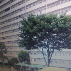 公営住宅＊収入超過認定：退去通知・退去勧告「都営住宅・市営…