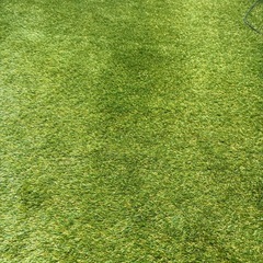 高性能人工芝の画像