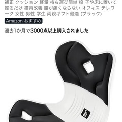 DEZIYA　姿勢サポートチェア　骨盤サポート①の画像