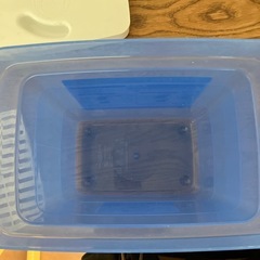 ミルトン　専用容器の画像