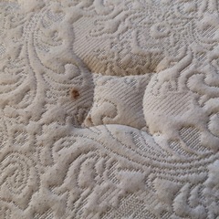 高級マットレス
の画像