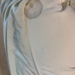 王様 抱き枕 王様の抱き枕 安眠 睡眠の画像