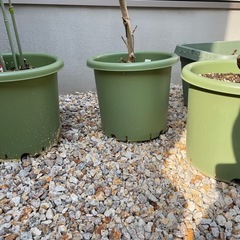 【お取引中】プランター4つの画像