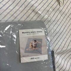 スリコ　マンスリーフォトシーツの画像