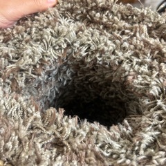 アクタスのラグ201cm×142cmの画像