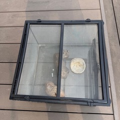 ガラステラリウム　　　の画像