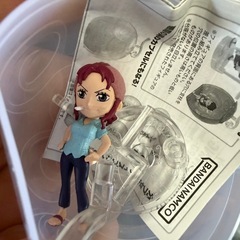 ワンピの実 ベルメールの画像