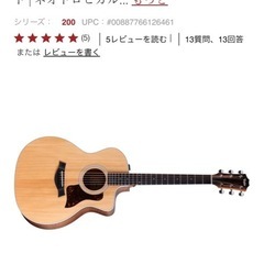 テイラー　ギター　ギグケース
の画像