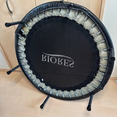 トランポリン　大人も使えますの画像