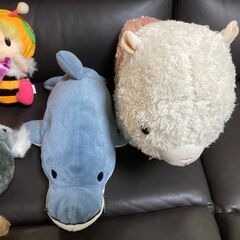 ぬいぐるみまとめて如何でしょうか！の画像