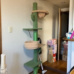 キャットタワー
の画像