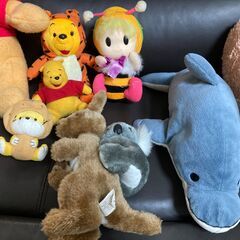 ぬいぐるみまとめて如何でしょうか！の画像