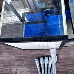 オーバーフロー加工ガラス水槽の画像