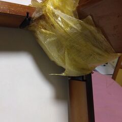 【無料0円】こたつ  ジャンクの画像