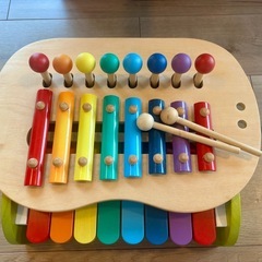 森のメロディーメーカー（箱付き）の画像