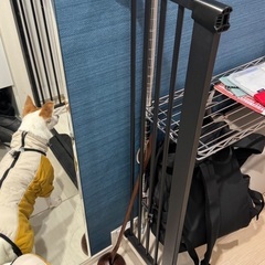犬  ペットゲート 島袋商店 LIFAXIAの画像
