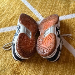 asics バレーボールシューズの画像