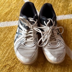 asics バレーボールシューズの画像