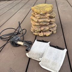 テラリウム　テトラ　カメ　の画像