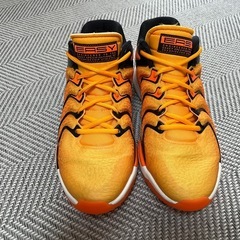 NIKE KD17 26.5cmの画像