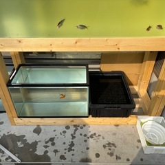 120㎝アクリル水槽&水槽台の画像