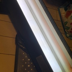 NISSO カラーライト600 ２灯式の画像