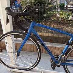 自転車 giantの画像