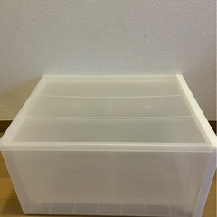 衣類ケース　無印の画像