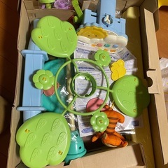 プーメリーの画像