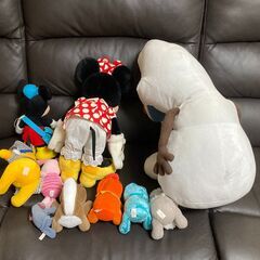 ディズニー系ぬいぐるみの画像