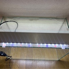 中古60水槽セットの画像