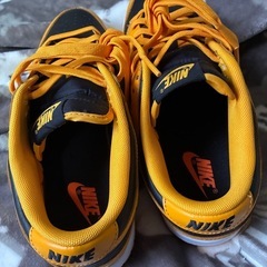 NIKE ダンクの画像