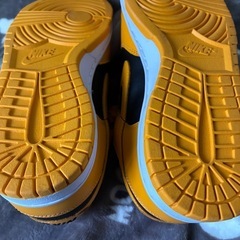 NIKE ダンクの画像