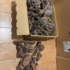 アクアテラリウムセットの画像